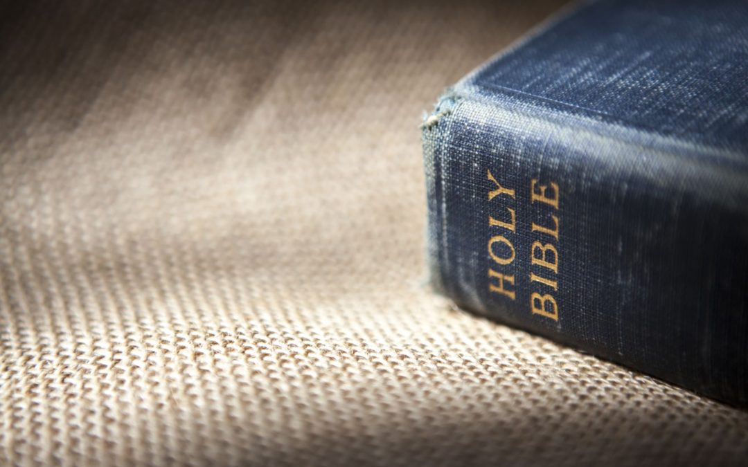 How to Read the Bible Like a Catholic