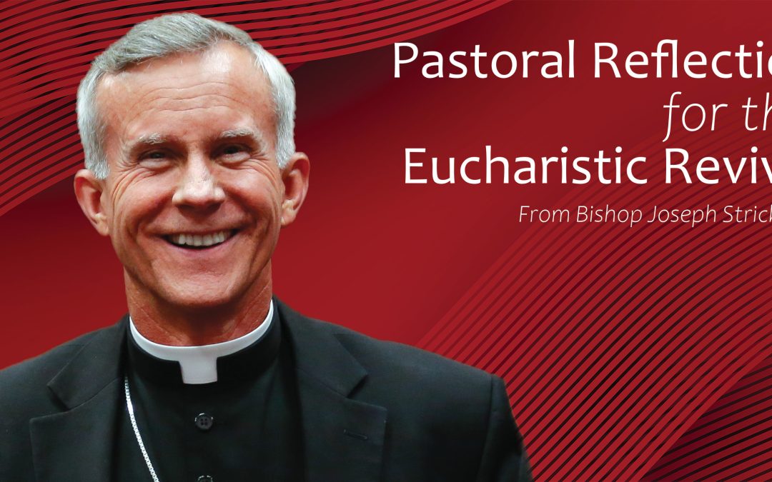 A Pastoral Reflection for the Eucharistic Revival