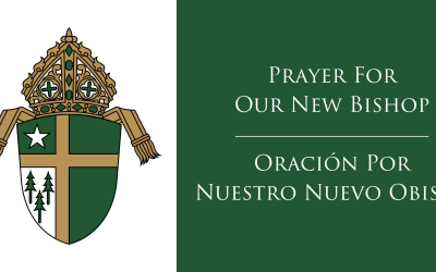 Prayer for Our New Bishop