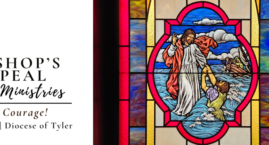 2026 Annual Appeal Launches with New Name